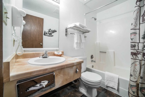 Rodeway Inn Panguitch badkamer